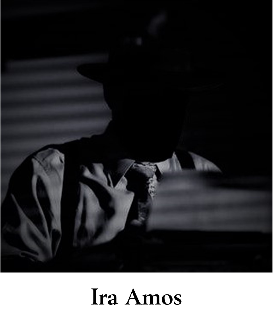 Ira Amos author Bad News on the Doorstep Arcadia Vyne Mystery